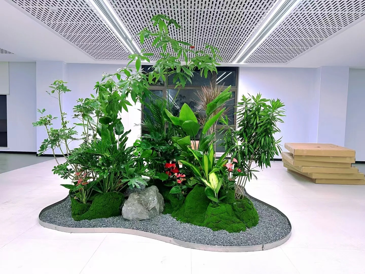 专业花卉出租,宁波江北为您的空间添绿彩