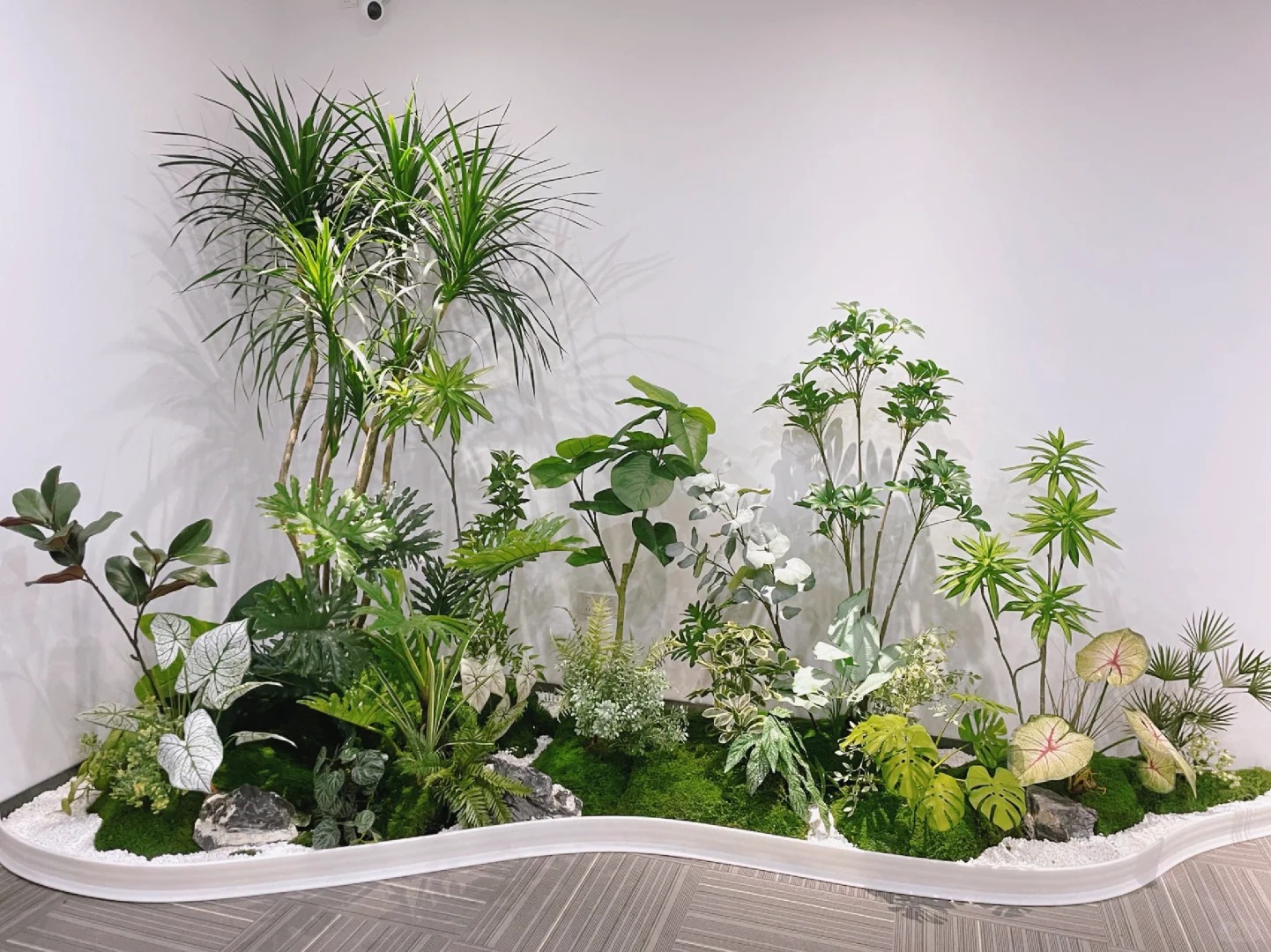 专业花卉出租,宁波江北为您的空间添绿彩